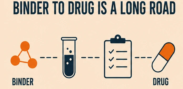 Illustration showing the long path from a confirmed protein binder to an approved drug